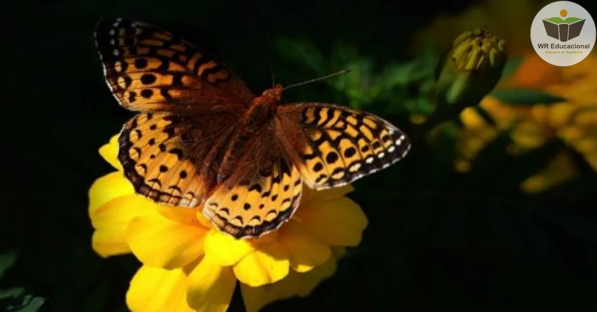 Curso de A importância da biodiversidade