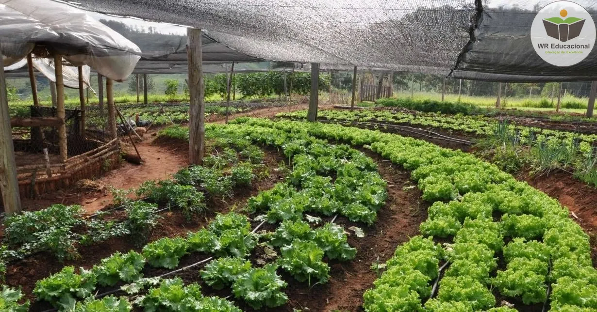 Curso de Noções Básicas em Agricultura Orgânica