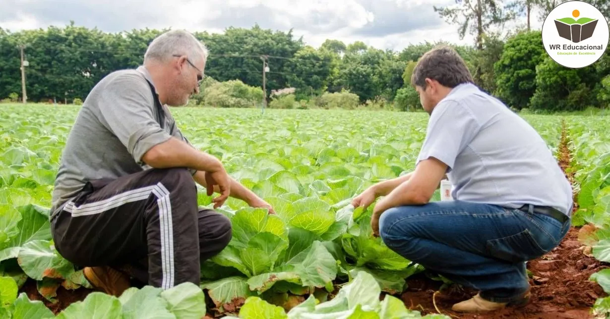 Curso de Inicialização a Assistência Técnica e Extensão Rural - ATER