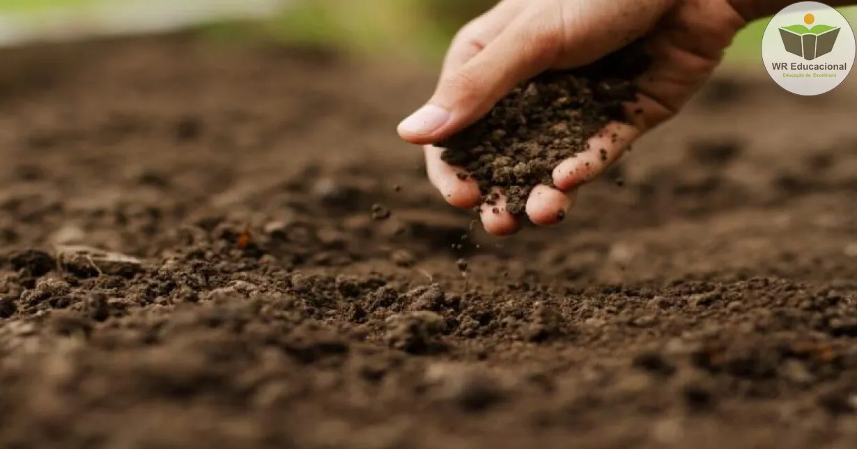 Curso de Fertilidade do Solo nos Últimos Tempos