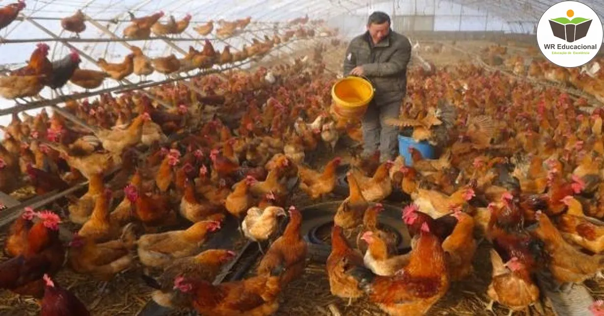 Curso de Manejo de Aves