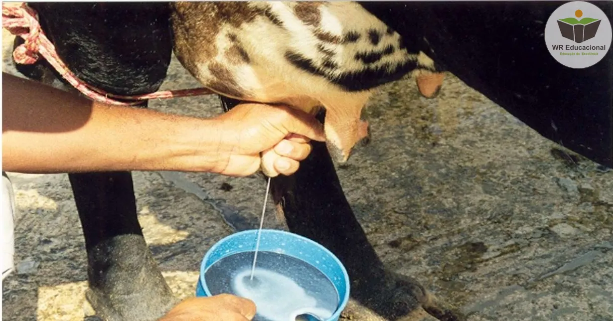 Curso de Noções Básicas em Mastite Bovina