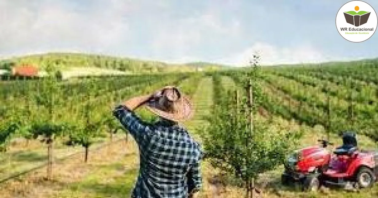 Curso de Noções Básicas da Gestão de Segurança e do Trabalhador Rural