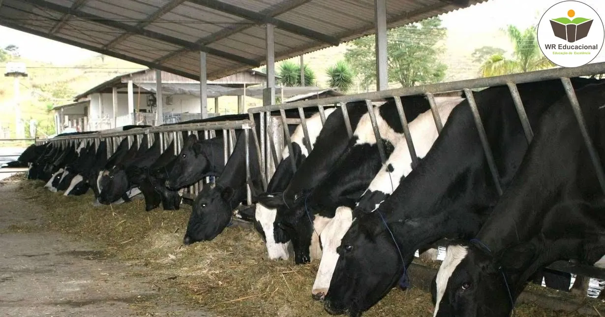 Curso de Noções Básicas em Pecuária Leiteira