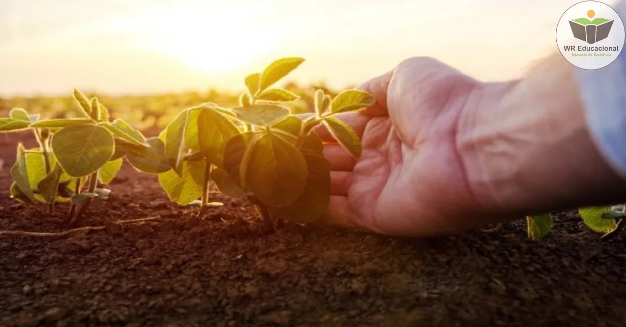 Curso de Regulamentação técnica da agricultura orgânica no Brasil