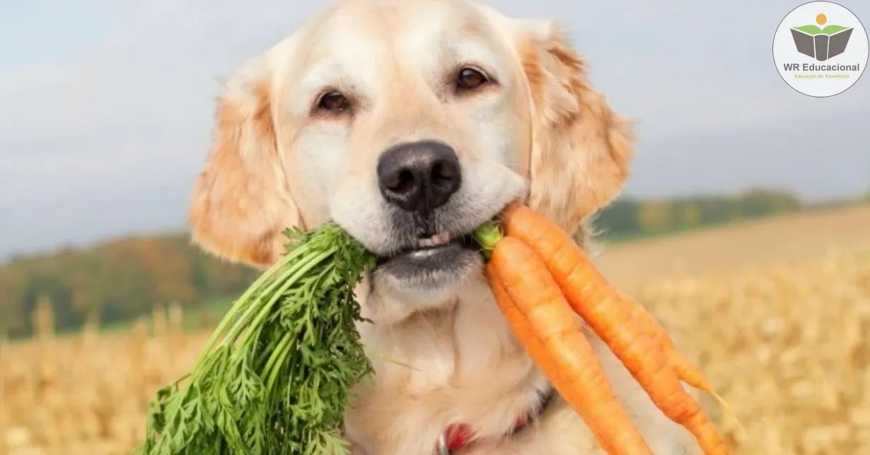 Curso de Noções Básicas em Cuidados da Alimentação Animal