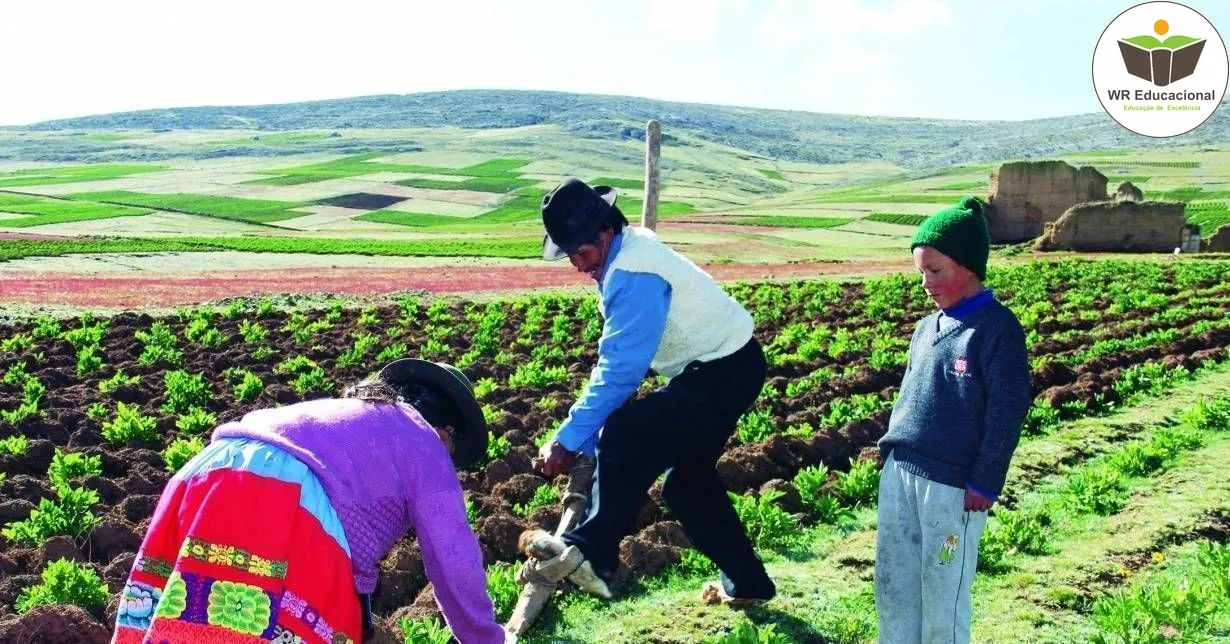 Curso de Introdução em Implementos Agrícolas