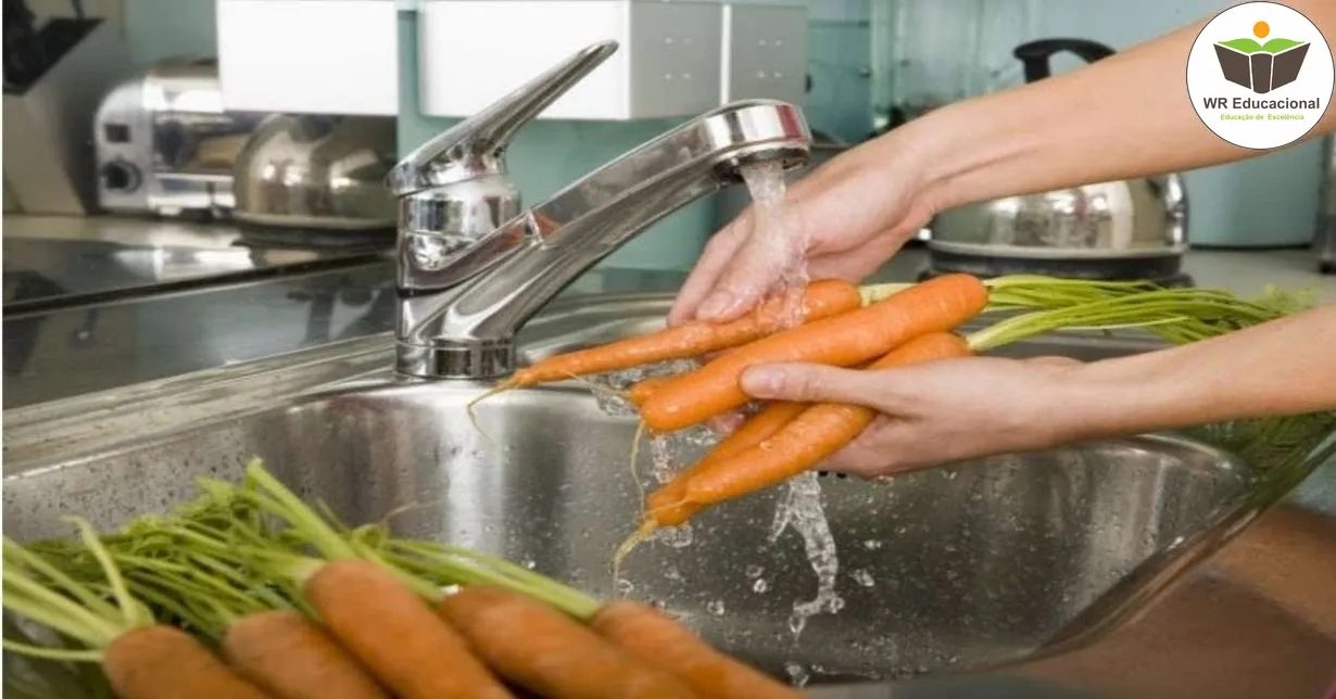 Curso de Processamento de frutas, verduras e legumes