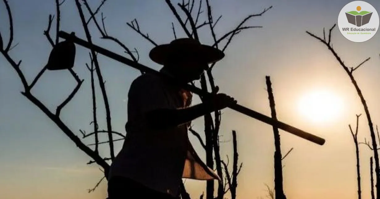 Curso de Conflitos Agrários e Demandas do Sistema Interamericano de Direitos Humanos ao Brasil