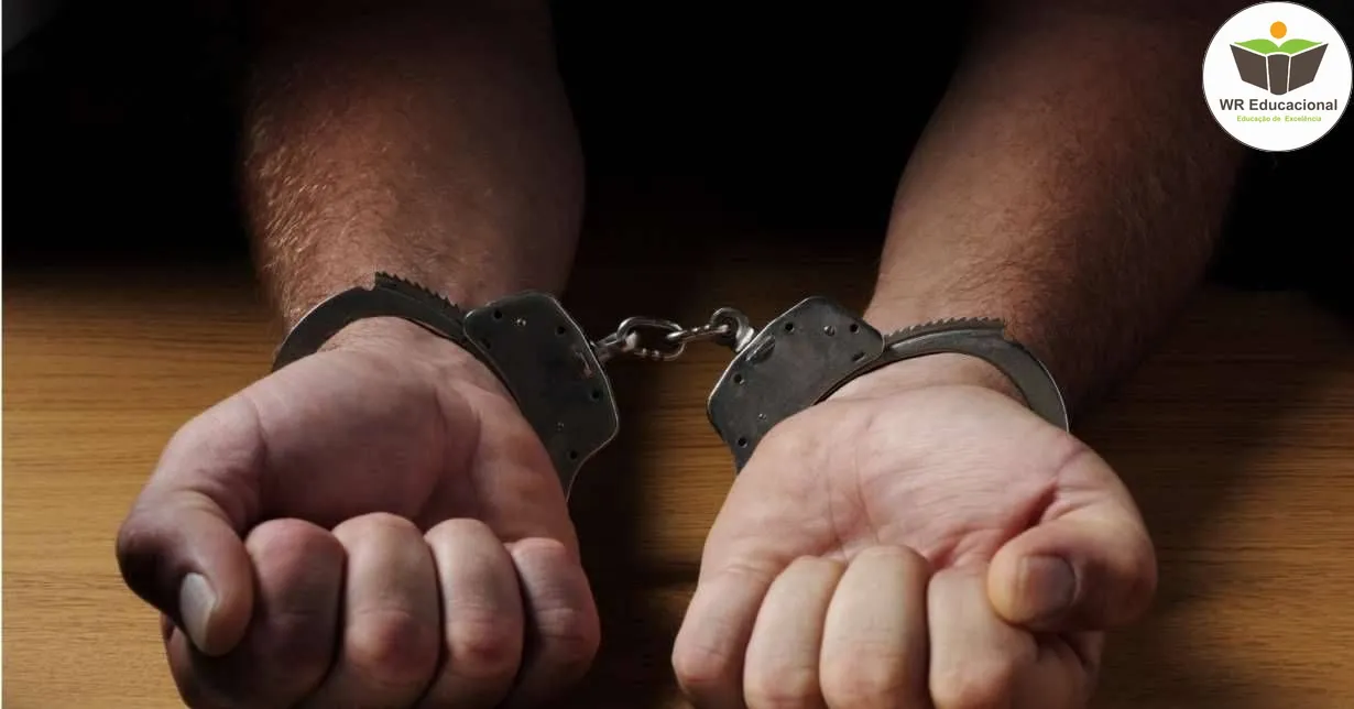 Curso de Inicialização à Criminologia