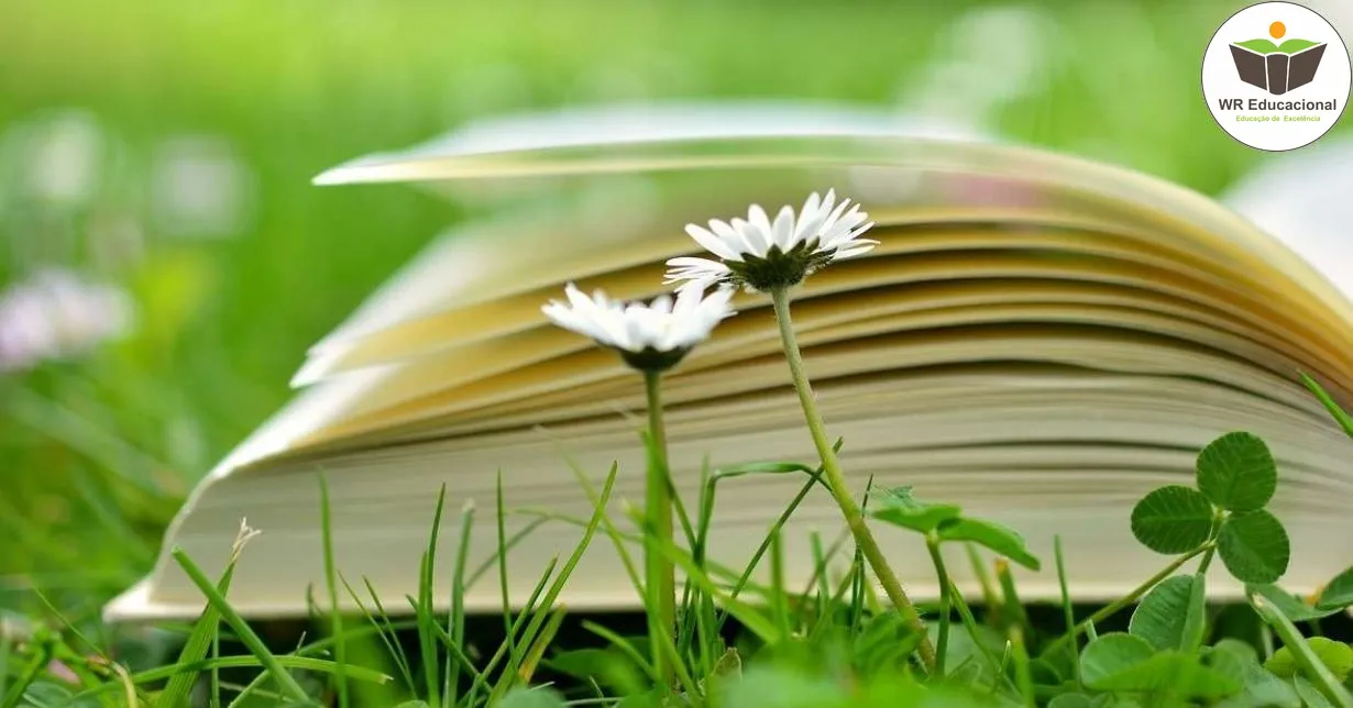 Curso de Noções Básicas da Educação Ambiental