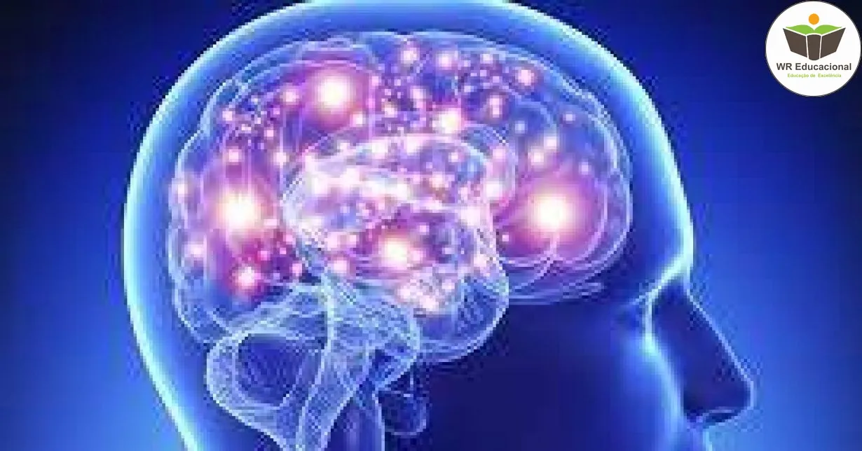 Curso de Noções Básicas em Neuropsicologia