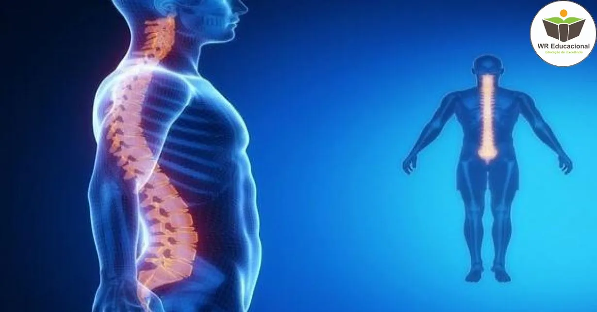 Curso de Noções Básicas em Avaliação Postural