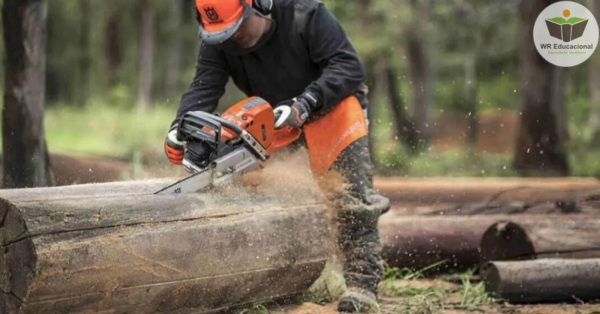 Curso de Avaliação de Segurança do Trabalho de Operadores de Motosserra