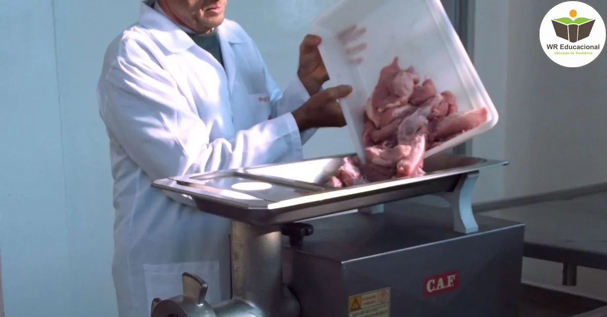 Curso de Processo de Fabricação da Linguiça
