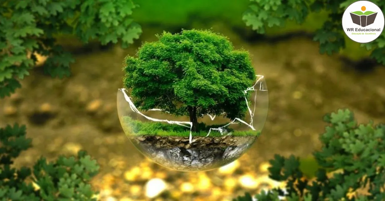 Curso de Educação Ambiental