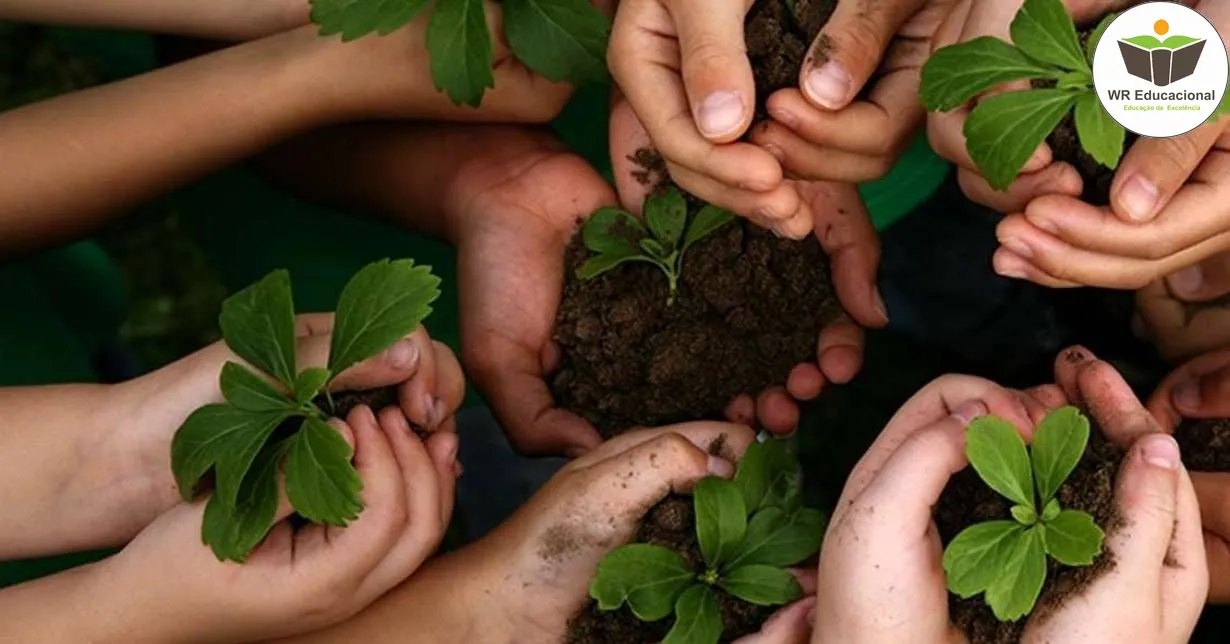 Curso de Gestão do Meio Ambiente: Sustentabilidade e Educação Ambiental