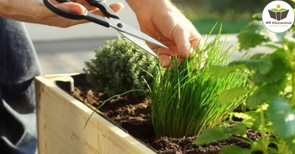 Curso de Horta em casa