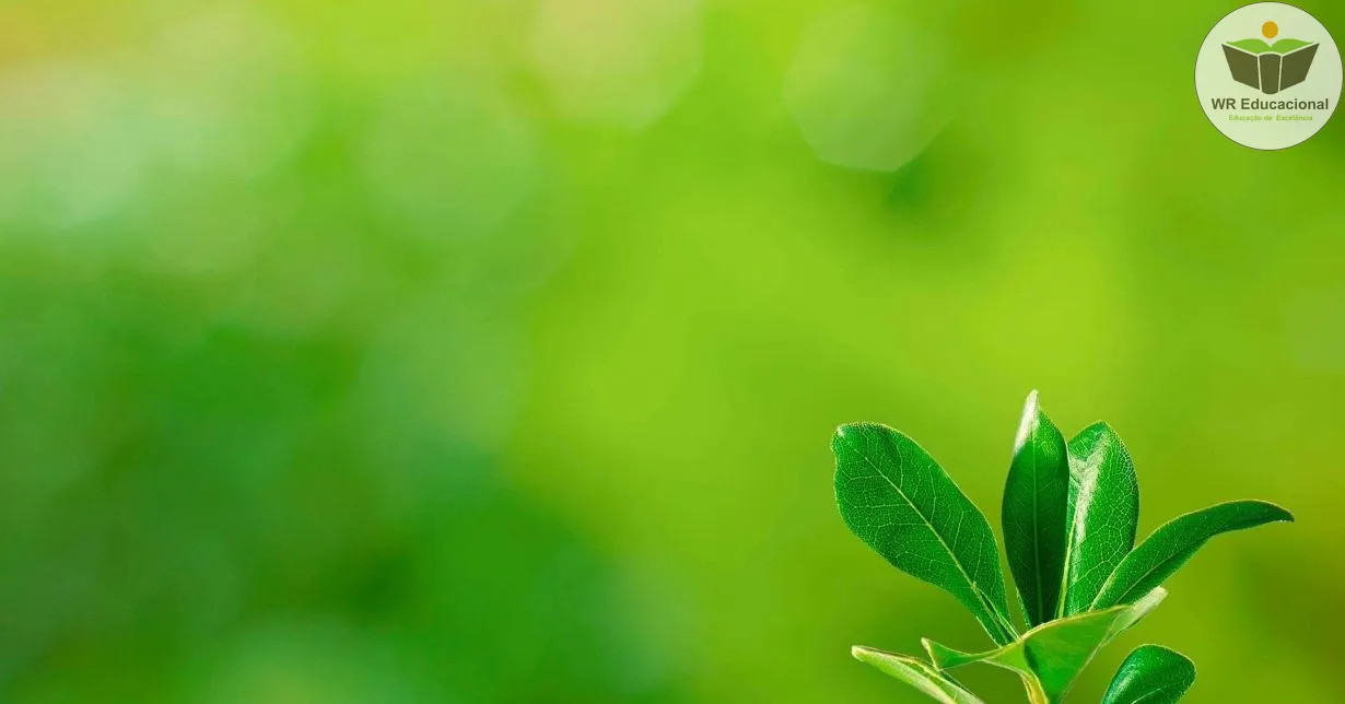 Curso de Meio Ambiente em Inteligência Estratégica