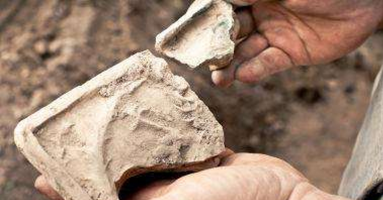 Curso Rápido grátis de Curso de antropologia arqueológica
