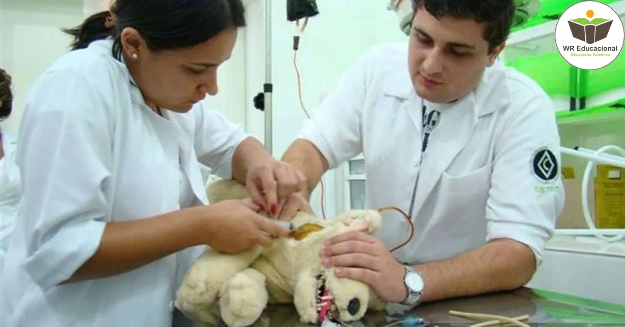 Curso de Noções Básicas de Auxiliar de Veterinária e Pet Shop