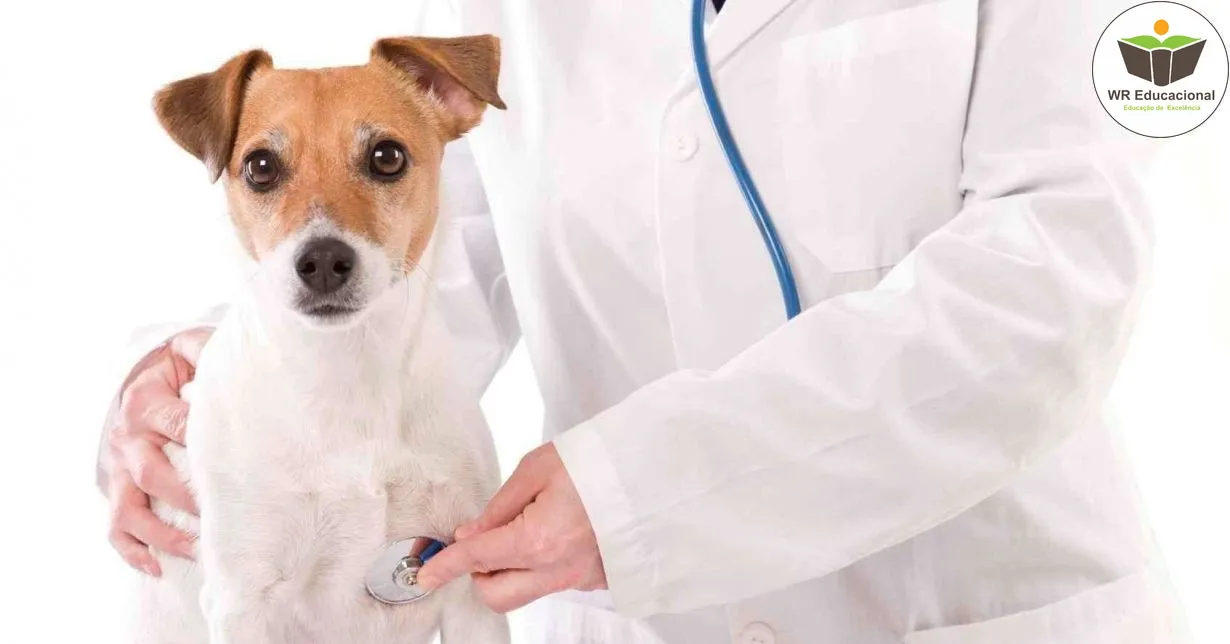 Curso de Inicialização em Análise Clínica especializada em veterinária