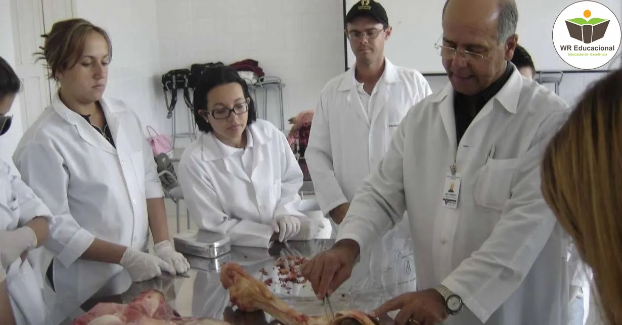 Curso de NOÇÕES BÁSICAS EM AUXILIAR DE NECROTOMIA