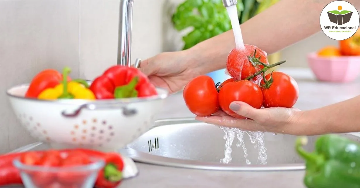 Curso de INTRUDUÇÃO EM BOAS PRÁTICAS PARA CONSERVAÇÃO DE ALIMENTOS