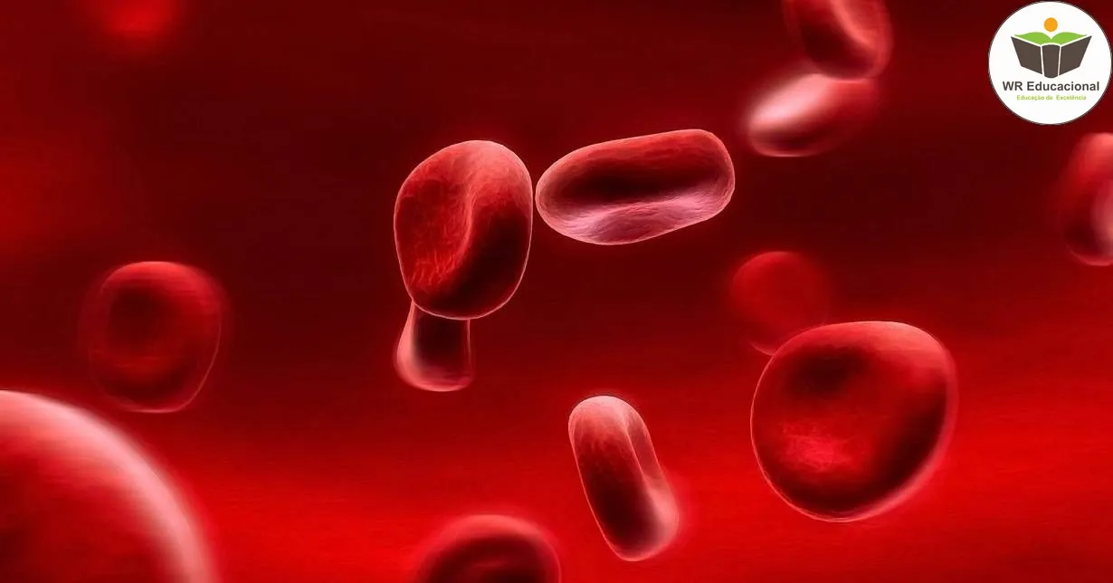 Curso de NOÇÕES BÁSICAS EM ANEMIAS