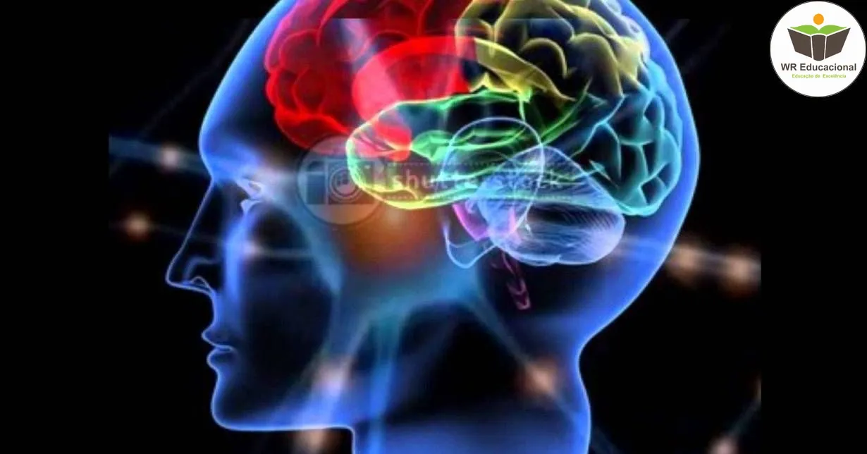 Curso de FUNDAMENTOS BÁSICOS DA NEUROCIÊNCIA