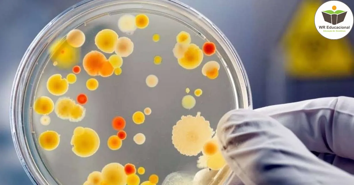 Curso de NOÇÕES BÁSICAS EM MICROBIOLOGIA
