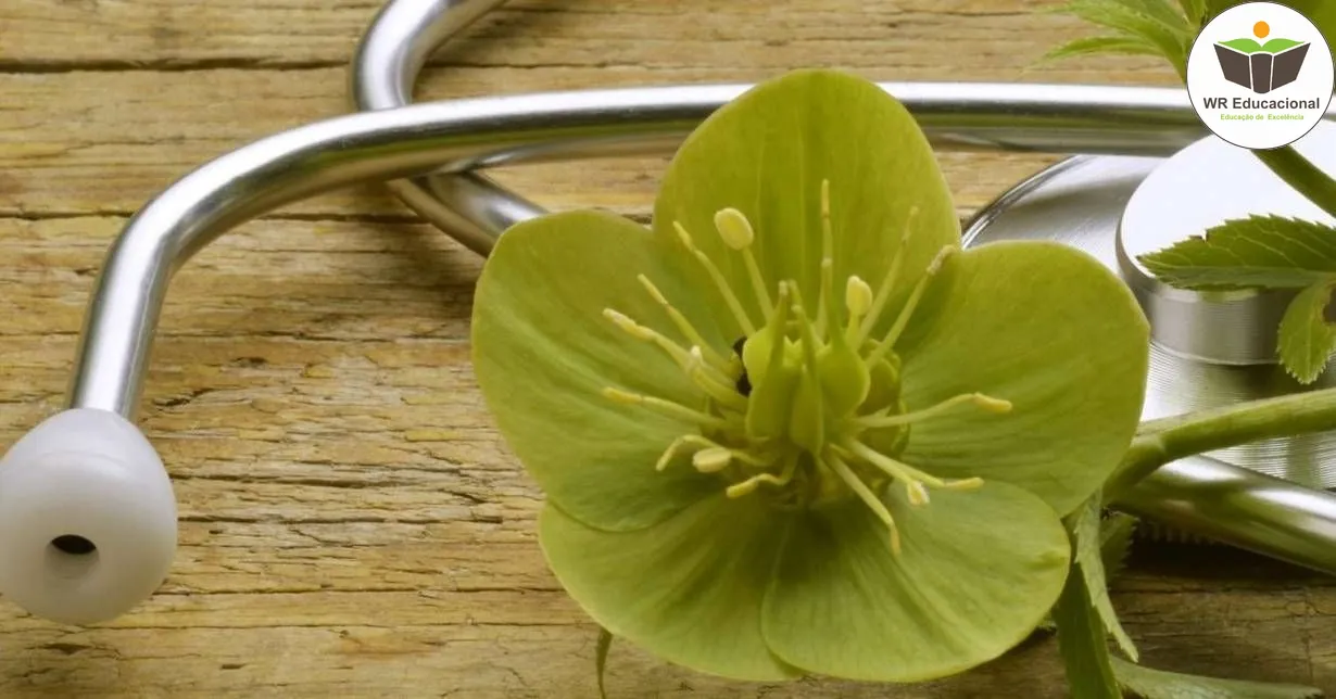 Curso de NOÇÕES BÁSICAS EM NATUROPATIA / TERAPEUTA HOLÍSTICO