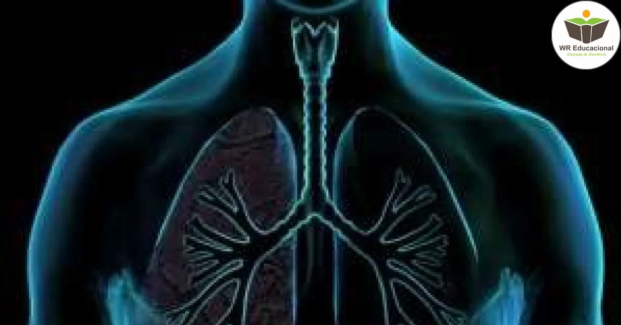 Curso de NOÇÕES BÁSICAS SOBRE SISTEMA RESPIRATÓRIO