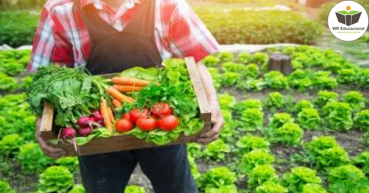 Curso de NOÇÕES BÁSICAS DA PRODUÇÃO DE SEMENTES DE HORTALIÇAS PARA A AGRICULTURA FAMILIAR