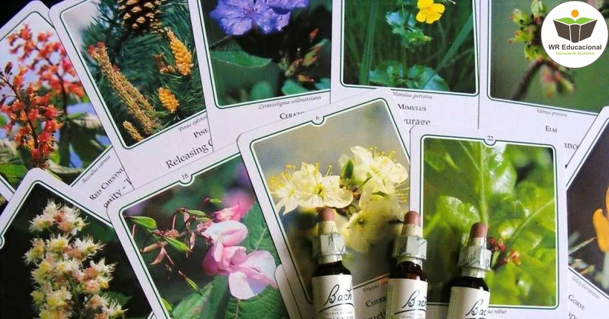 Curso de NOÇÕES BÁSICAS EM TERAPIA FLORAIS DE BACH