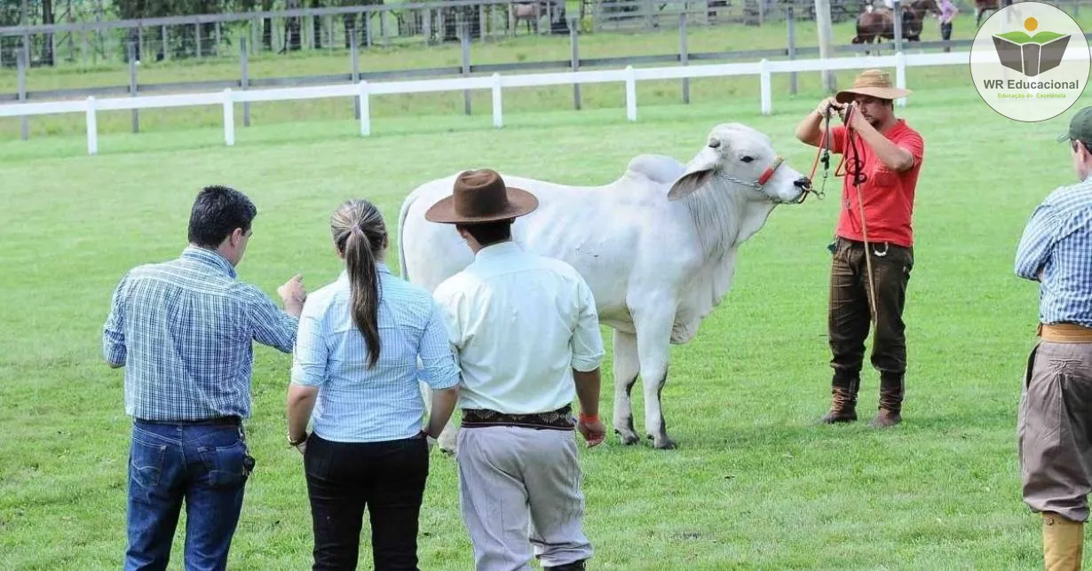 Curso de Auxiliar em Agropecuária