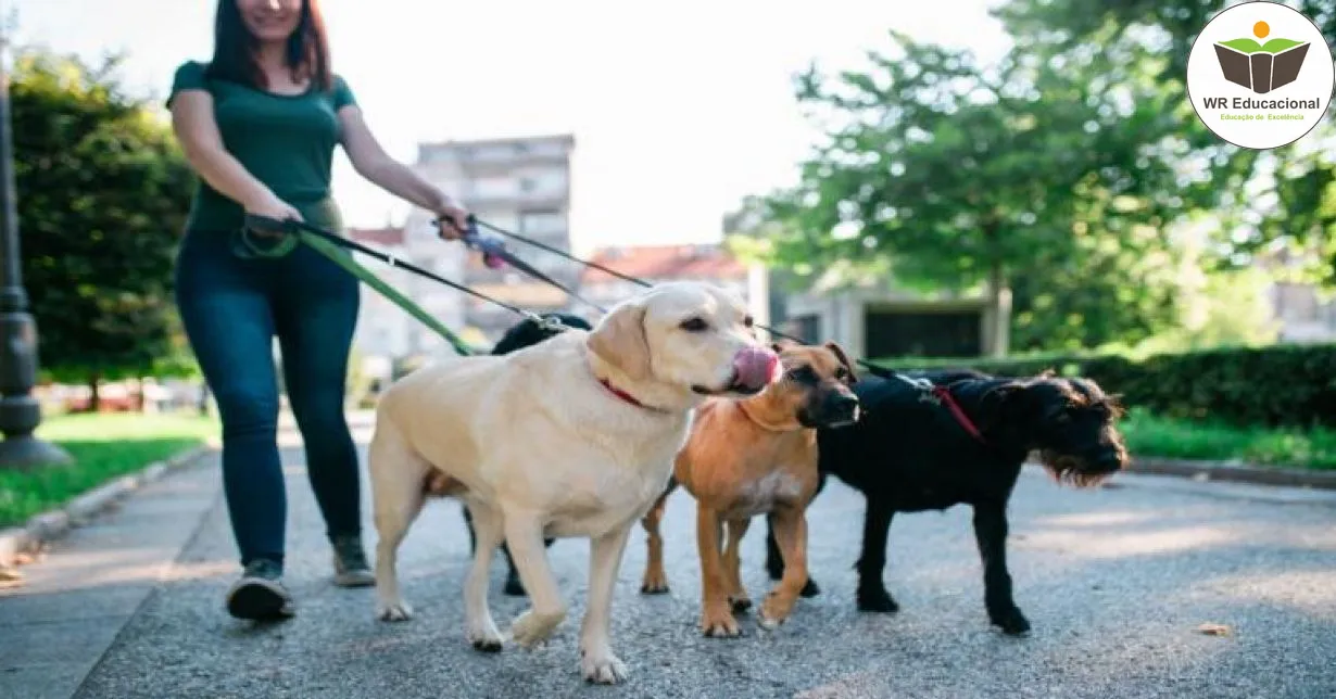 Curso de Dog Walker