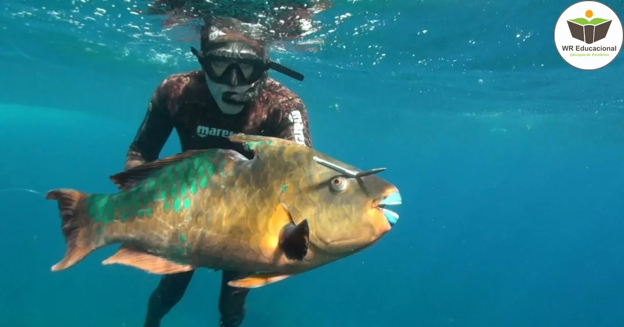 Curso de Pesca Submarina