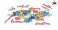 Curso de INTRODUÇÃO À GESTÃO DE PROJETOS