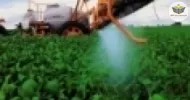 Curso de Noções Básicas em Controle de Pragas e Agrotóxicos