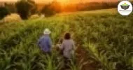 Curso de Sistemas Agroflorestais e Agricultura Familiar
