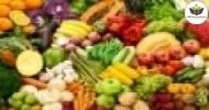 Curso de Guia Alimentar de Dietas Vegetarianas