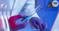 Curso de Direito e Bioética