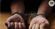 Curso de Inicialização à Criminologia