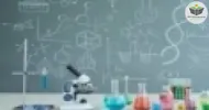 Curso de Ciências na Educação Infantil de acordo com a BNCC