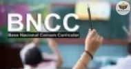 Curso de Estrutura do Ensino Fundamental com a BNCC