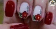 Curso de Unhas decoradas