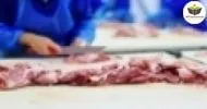 Curso de Básico de Abate e Processamento de Carnes e Derivados