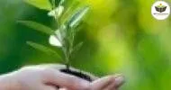 Curso de Básico em Desenvolvimento Sustentável