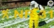 Curso de NR 31 - Segurança e Saúde no Trabalho na Agricultura, Pecuária Silvicultura, Exploração Florestal e Aquicultura